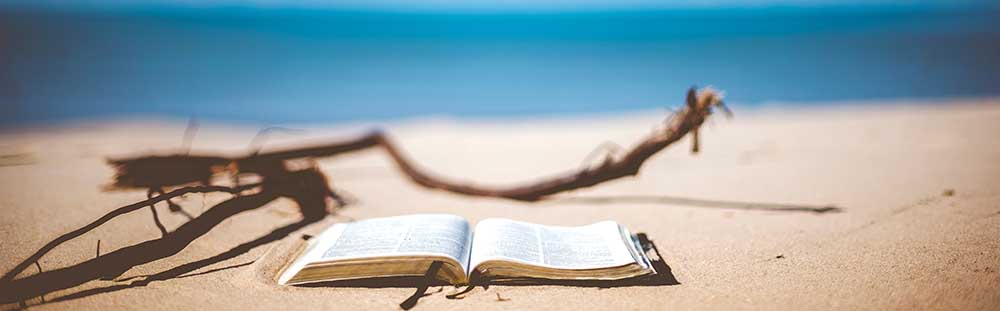 A book on the beach